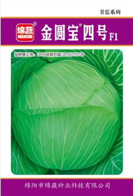 1     金圆宝四号