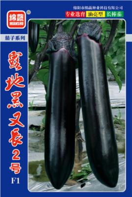 6 &nbsp;露地黑又长2号