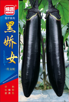 9 &nbsp;&nbsp;黑娇女