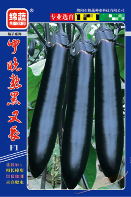 1 &nbsp;&nbsp;中晚熟黑又长