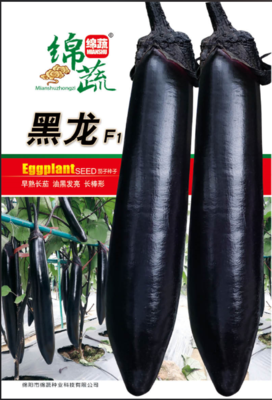 4 &nbsp;&nbsp;黑龙