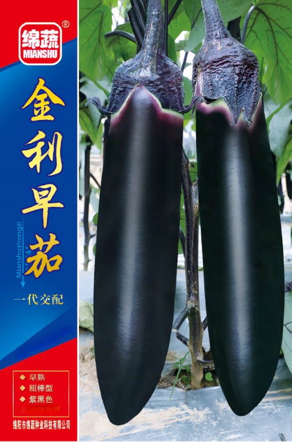 21 金利早茄- 绵蔬科技