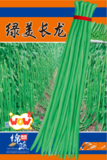 6    绿美长龙(1斤）