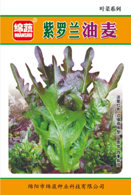 9 &nbsp;&nbsp;&nbsp;紫罗兰油麦