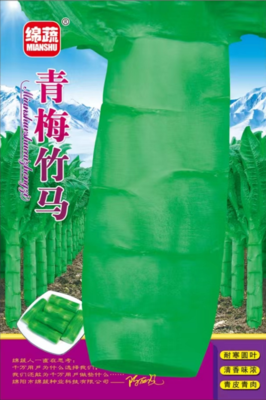 A11 &nbsp;青梅竹马