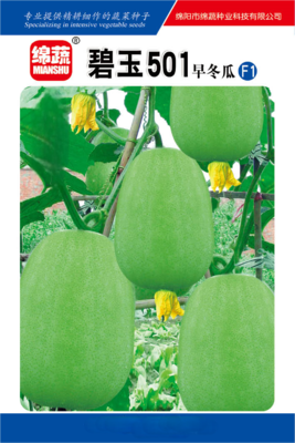 4      碧玉501
