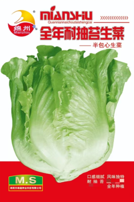 15     全年耐抽苔生菜