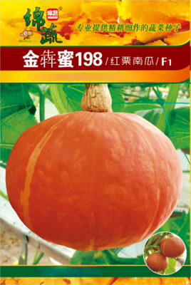 8、金犇蜜198/红栗