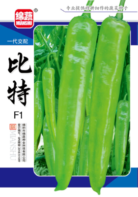 4 &nbsp;&nbsp;比特