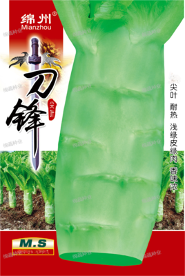 A9 &nbsp;&nbsp;&nbsp;&nbsp;刀锋