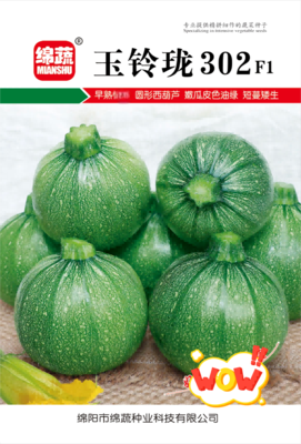 5 &nbsp;&nbsp;玉铃珑302