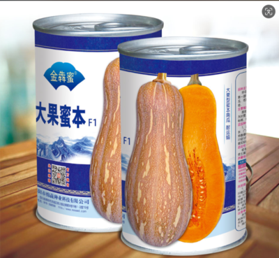 6 &nbsp;&nbsp;大果蜜本(金犇蜜)