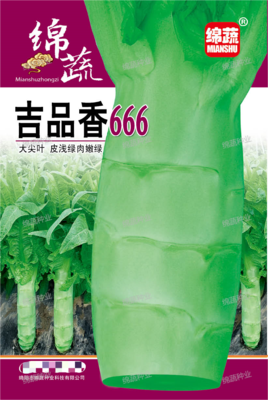 A10 &nbsp;&nbsp;&nbsp;吉品香666