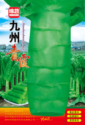 A9 &nbsp;&nbsp;九州青霞
