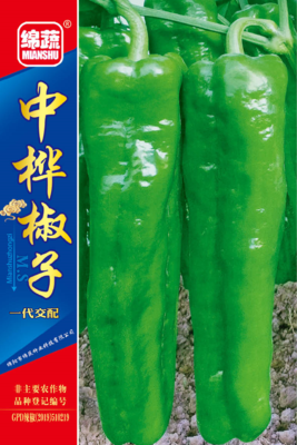 5 &nbsp;&nbsp;&nbsp;&nbsp;中桦椒子