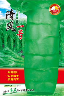 A12 &nbsp;&nbsp;清风一号
