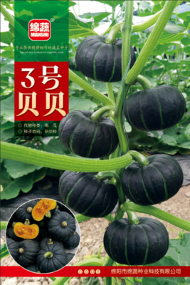3、3号贝贝