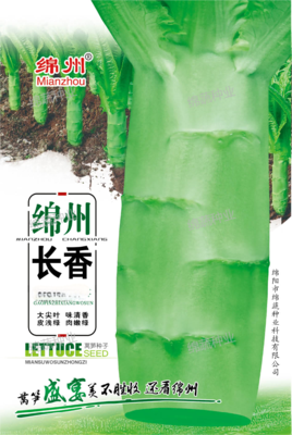 A6 &nbsp;&nbsp;绵州长香