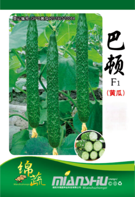 5 &nbsp;&nbsp;&nbsp;巴顿