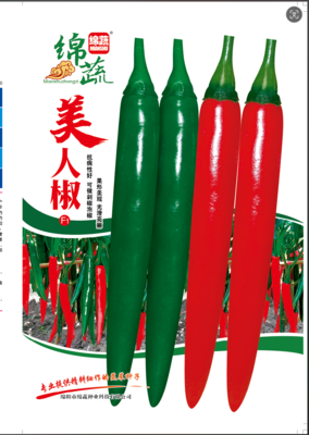 3   美人椒